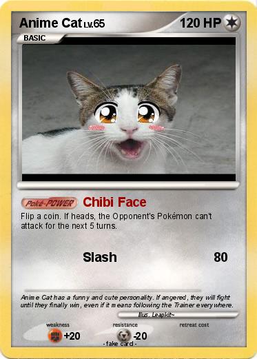 Pokemon Anime Cat