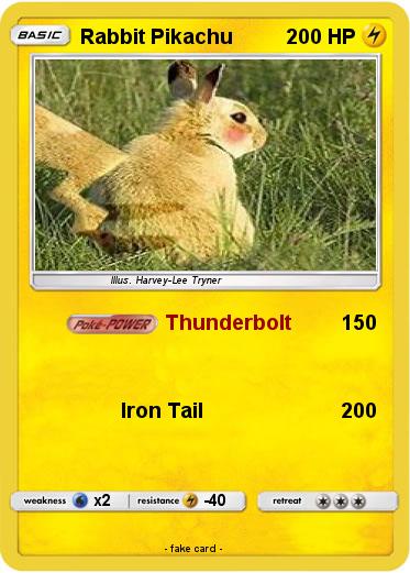 Pokemon Rabbit Pikachu
