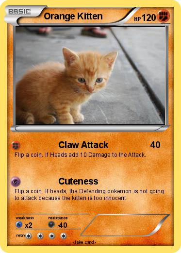 Pokemon Orange Kitten