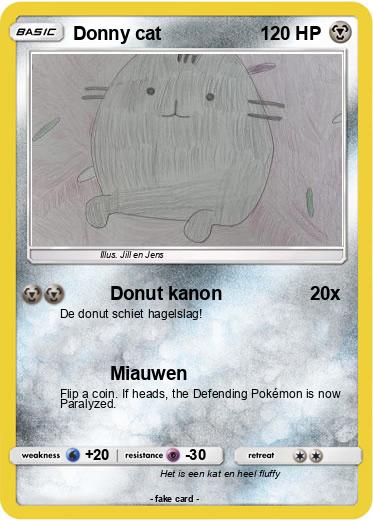 Pokemon Donny cat
