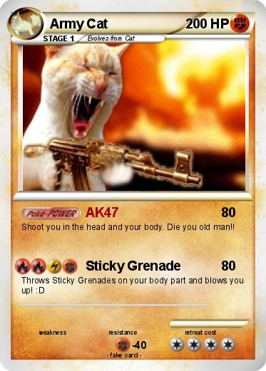 Pokemon Army Cat