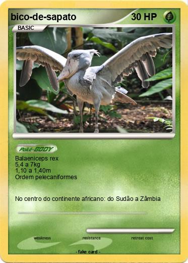 Pokemon bico-de-sapato