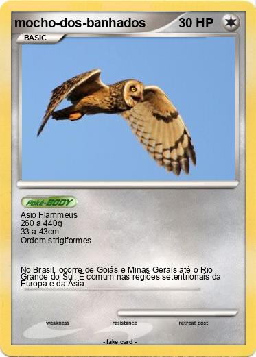 Pokemon mocho-dos-banhados