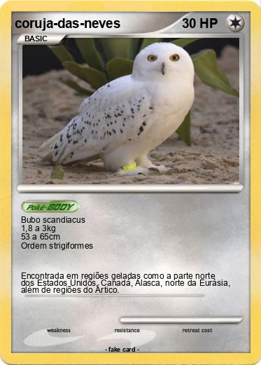 Pokemon coruja-das-neves
