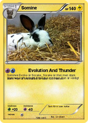 Pokemon Somine
