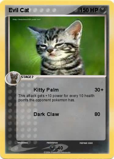 Pokemon Evil Cat