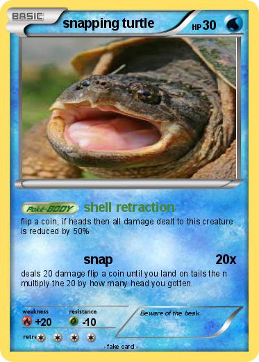 Pokemon snapping turtle Pokemon snapping turtle