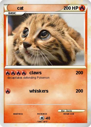 Pokemon cat