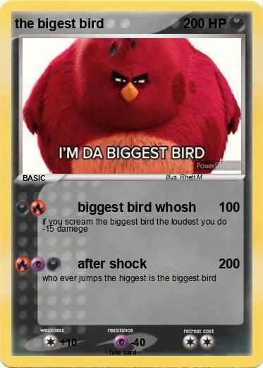 Pokemon the bigest bird