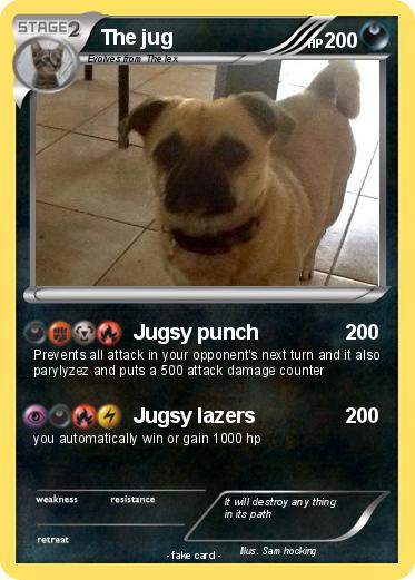 Pokemon The jug