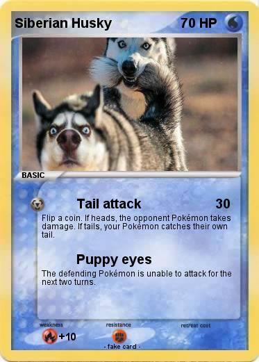 Pokemon Siberian Husky
