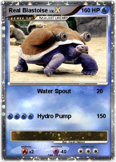 Pokemon Real Blastoise