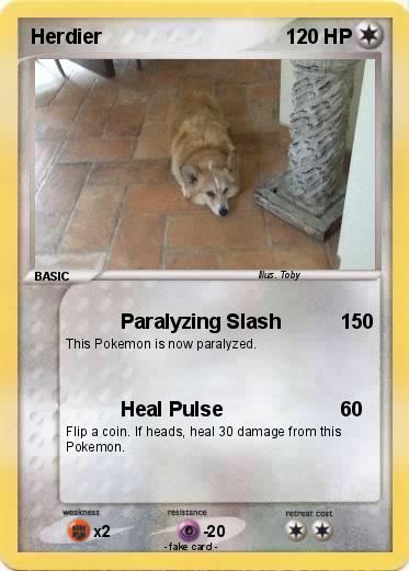 Pokemon Herdier