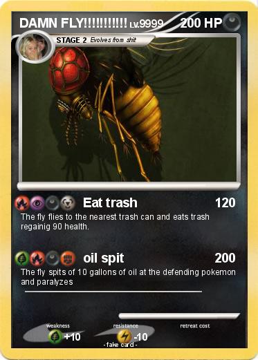 Pokemon DAMN FLY!!!!!!!!!!!