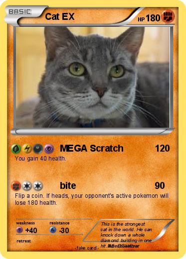Pokemon Cat EX
