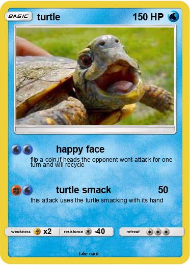 Pokemon turtle