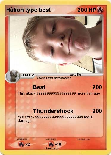 Pokemon Håkon type best