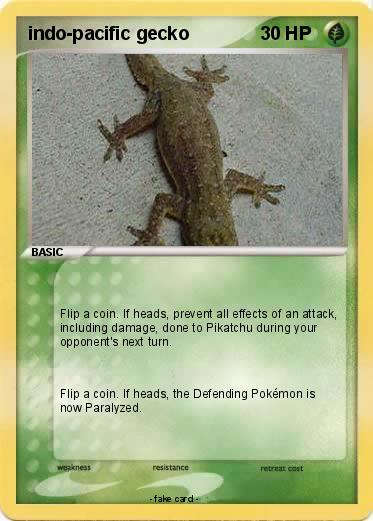 Pokemon indo-pacific gecko