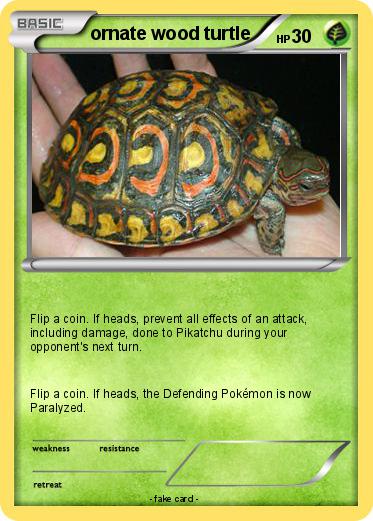 Pokemon ornate wood turtle