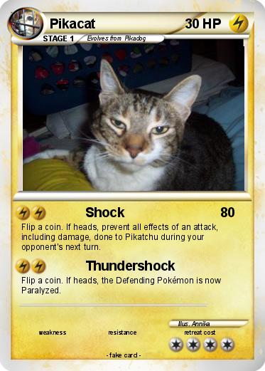 Pokemon Pikacat
