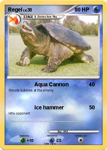 Pokemon Regel