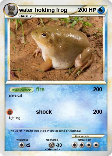 Pokemon water holding frog