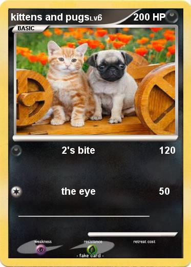 Pokemon kittens and pugs