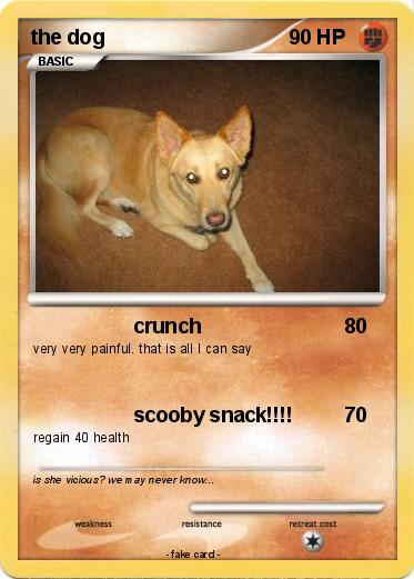 Pokemon the dog