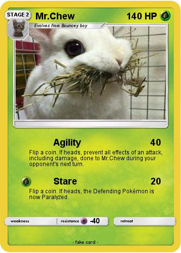 Pokemon Mr.Chew