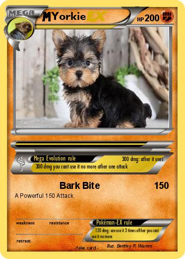 Pokemon Yorkie