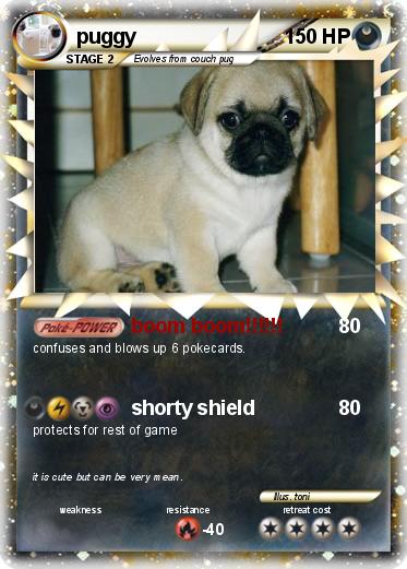 Pokemon puggy
