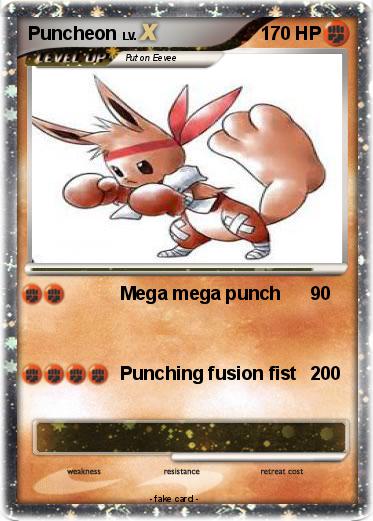 Pokemon Puncheon