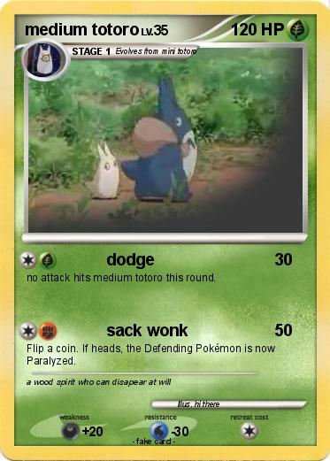 Pokemon medium totoro