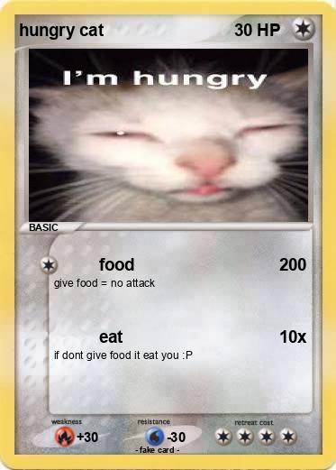 Pokemon hungry cat