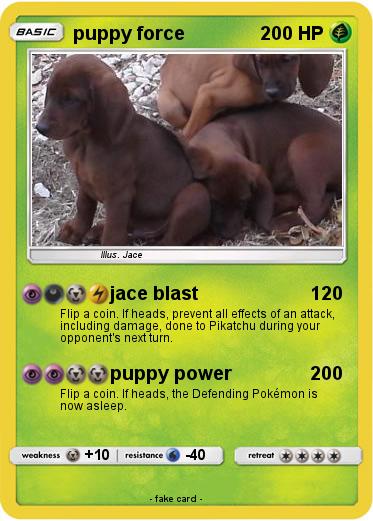 Pokemon puppy force