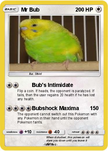 Pokemon Mr Bub