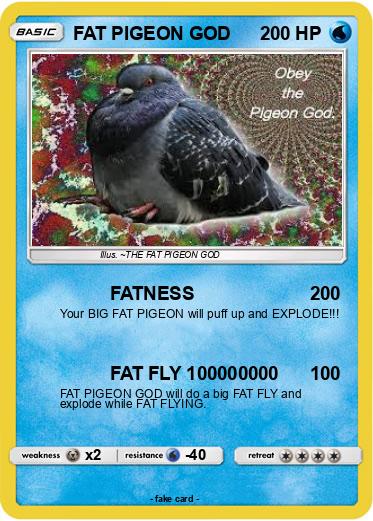 Pokemon FAT PIGEON GOD