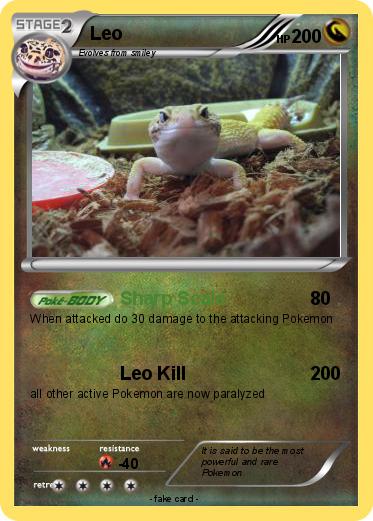 Pokemon Leo