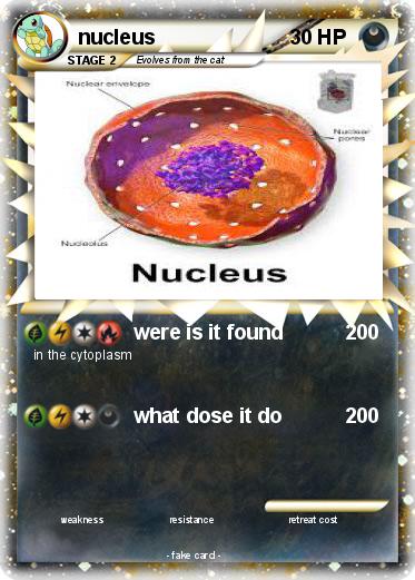 Pokemon nucleus