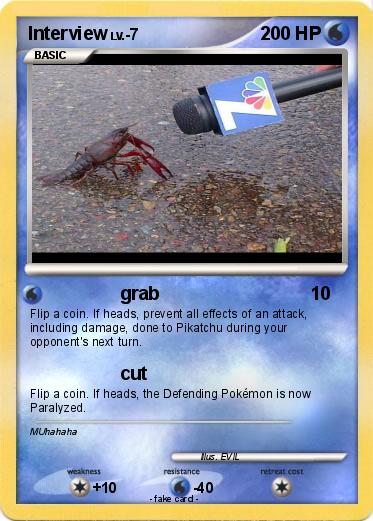 Pokemon Interview