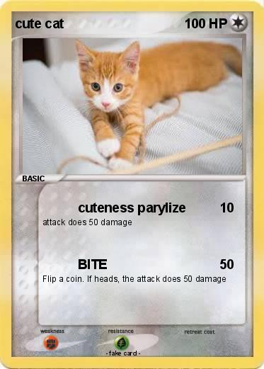 Pokemon cute cat