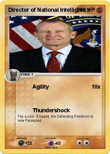 Pokemon Director of National Intelligence