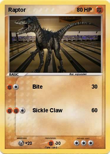 Pokemon Raptor