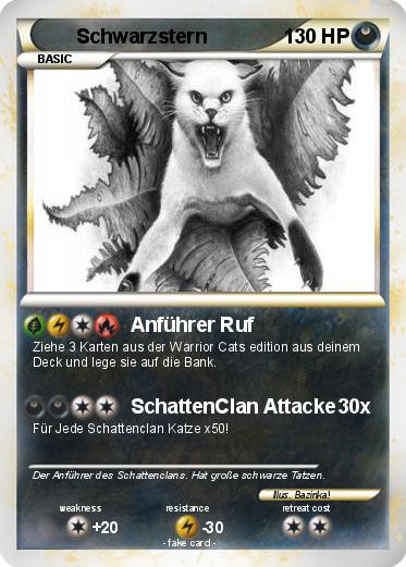 Pokemon Schwarzstern