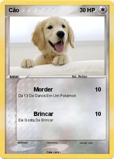 Pokemon Cão