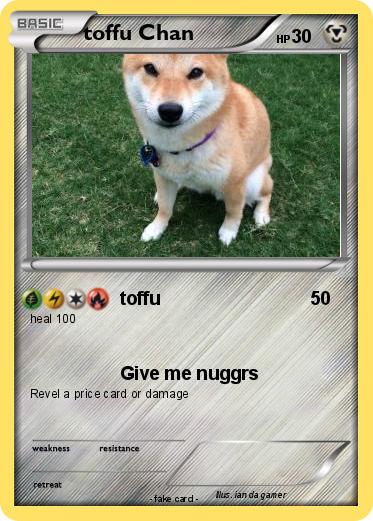 Pokemon toffu Chan