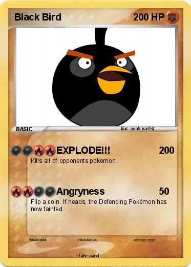 Pokemon Black Bird