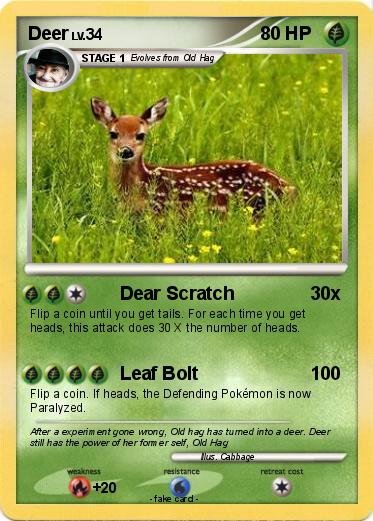 Pokemon Deer