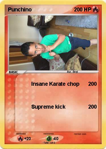 Pokemon Punchino