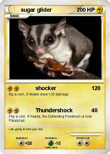 Pokemon sugar glider
